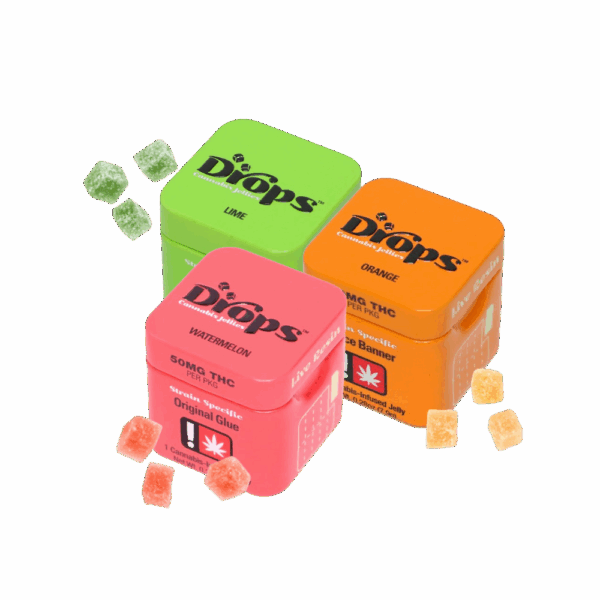 drops 2-pack of edible gummies