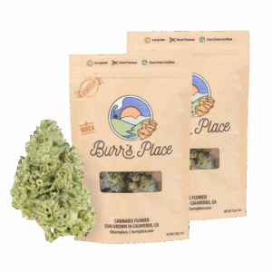 burr's place 3.5g flower