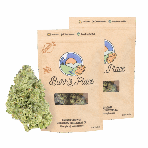 burr's place 3.5g flower